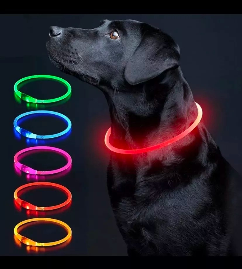 Colgante LED luminoso para perro