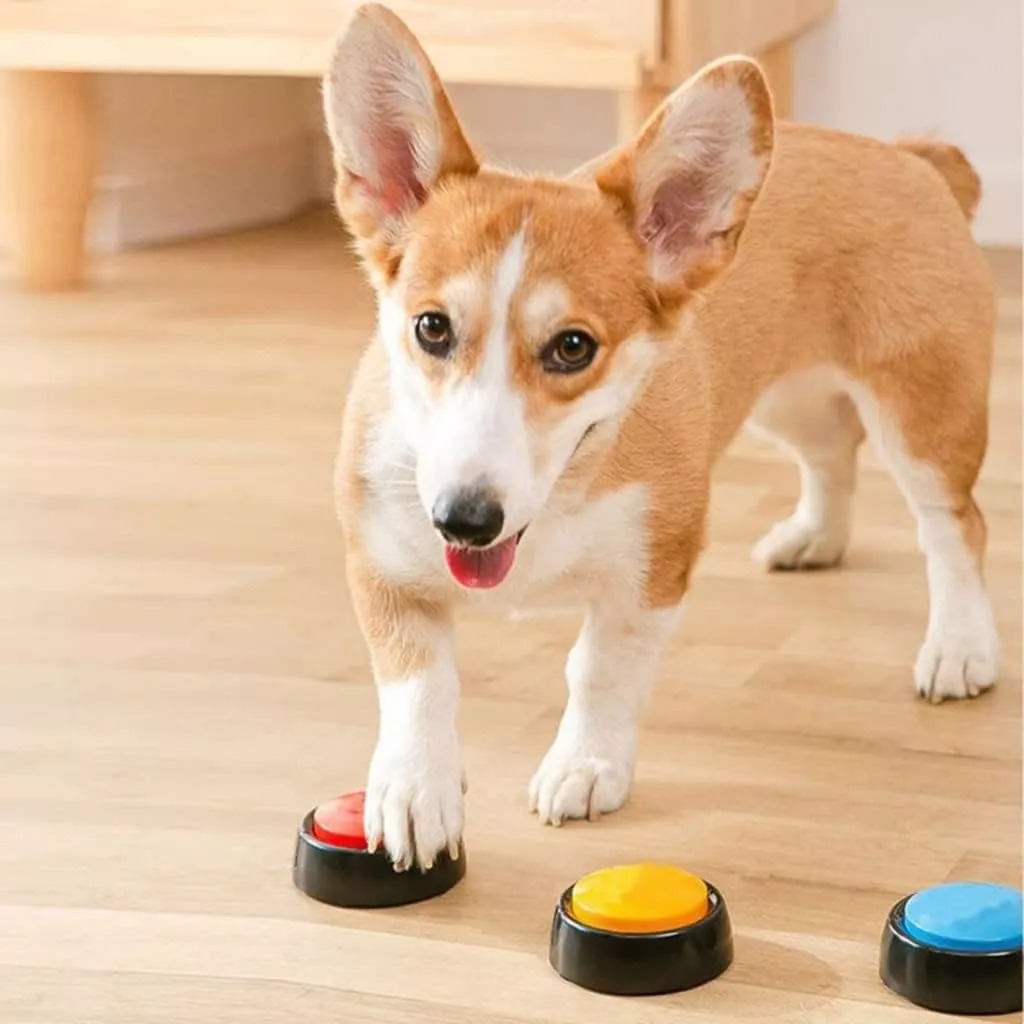 Boton Entrenamiento Botón De Grabación De Voz Perro Mascota